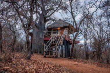 Tarangire Treetops — Tarangire National Park, Tanzania